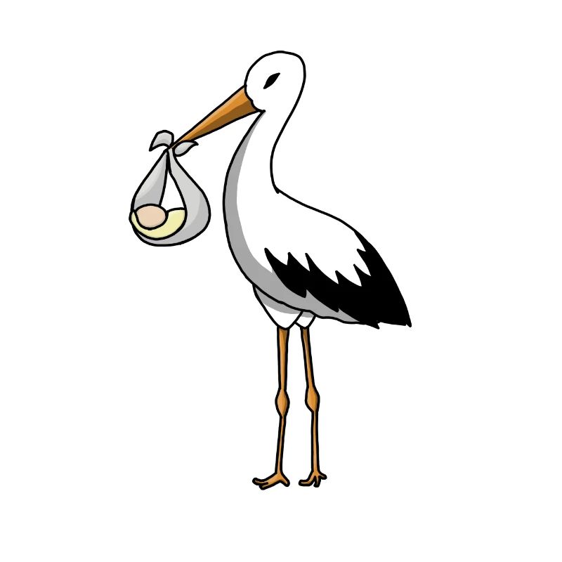 La cigogne amène le bébé