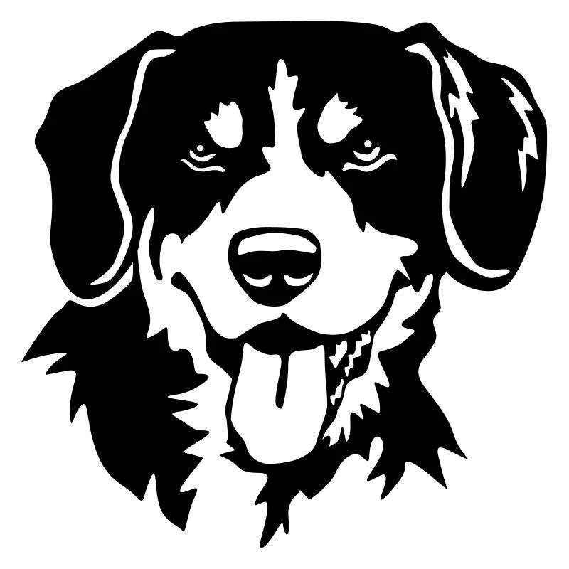 Entlebuch mountain dog head