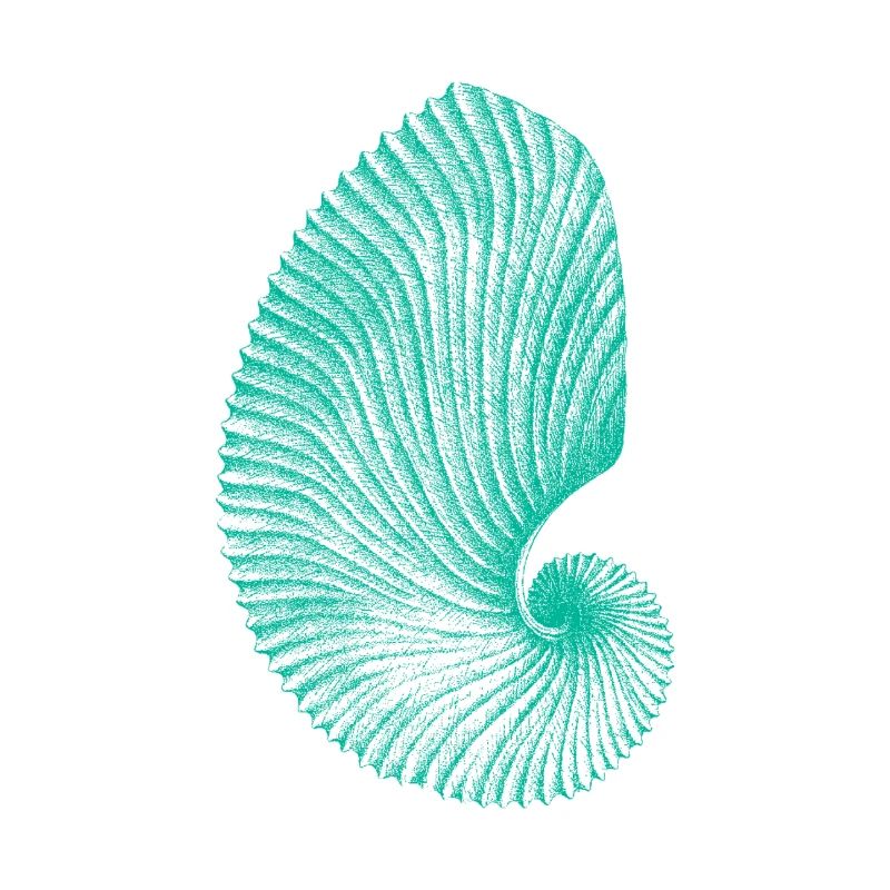 Teal Abstract Snail Pattern