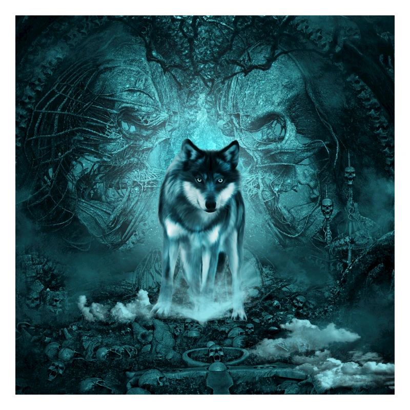 Awesome wolf at night