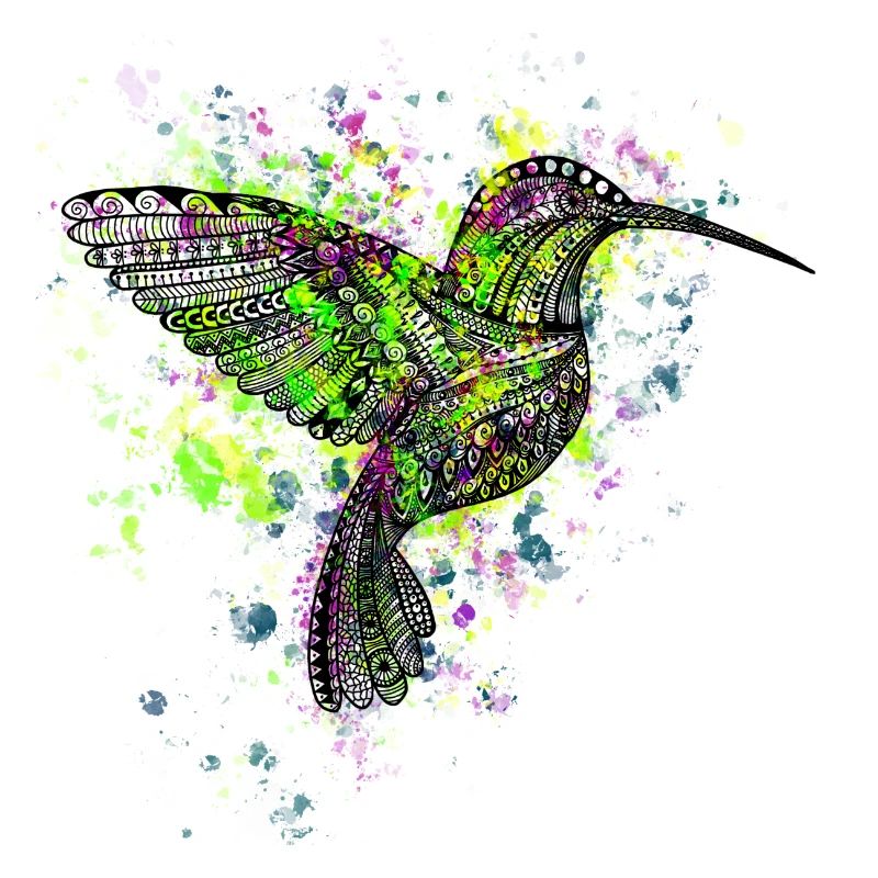 Colibri