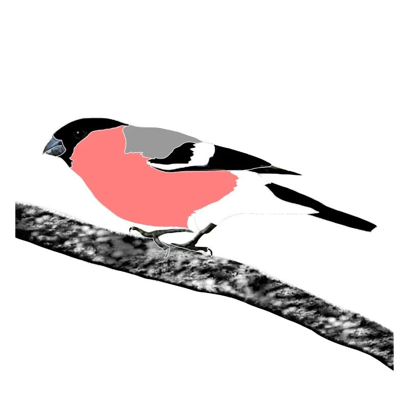 Gimpel