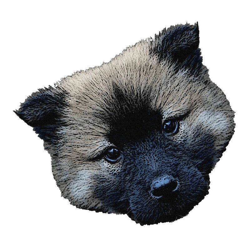 Fermeture du chiot, chiot eurasier