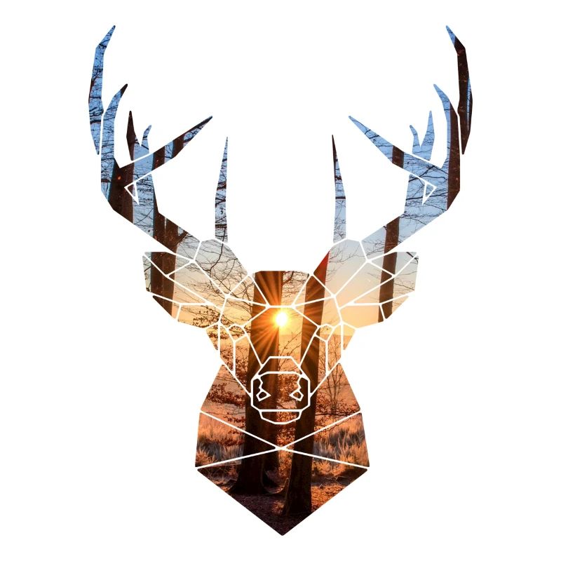 winter forest deer head and sun
