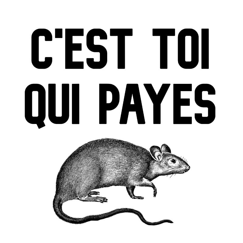 C'est toi qui payes (visuel de rat)