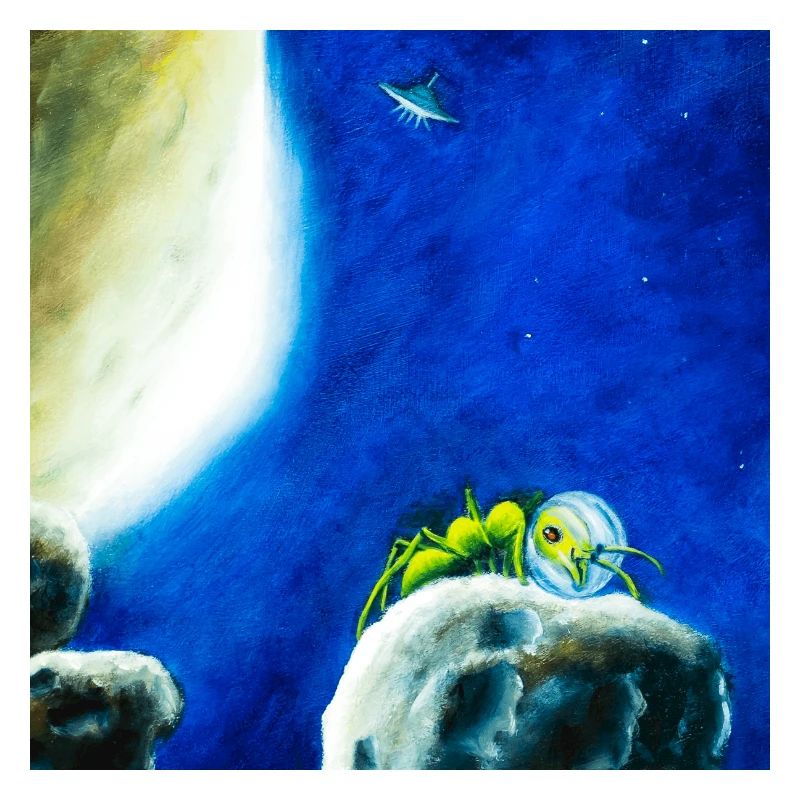 Mondameise oder Ameisonaut in der Sternennacht