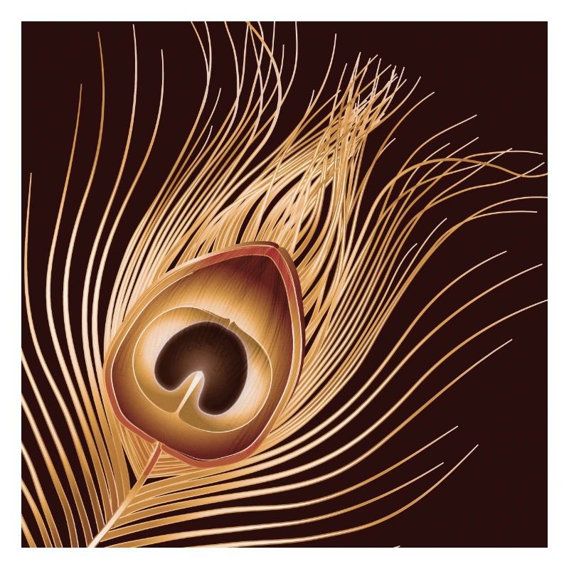 hand-drawn gold-colored peacock feather