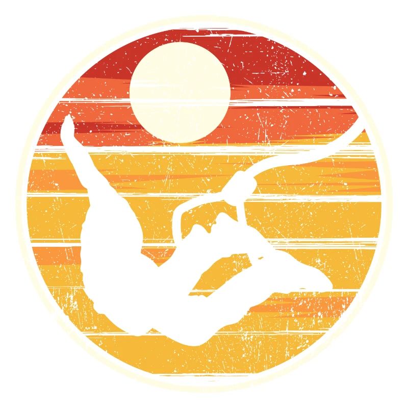 Sunset Silhouette Flight