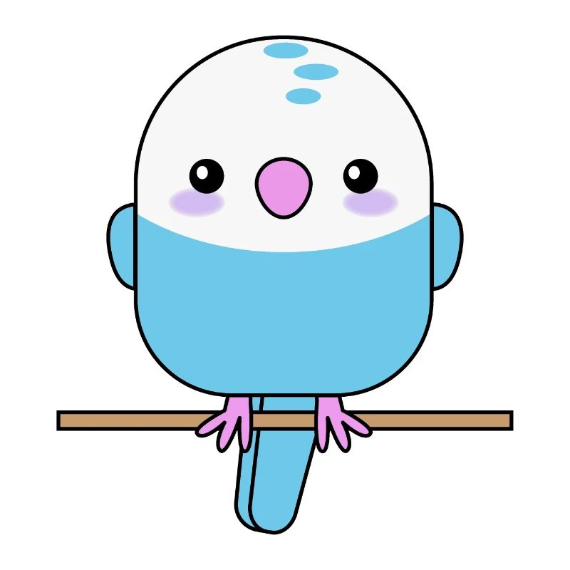 Perruche mignonne, perroquet, oiseau