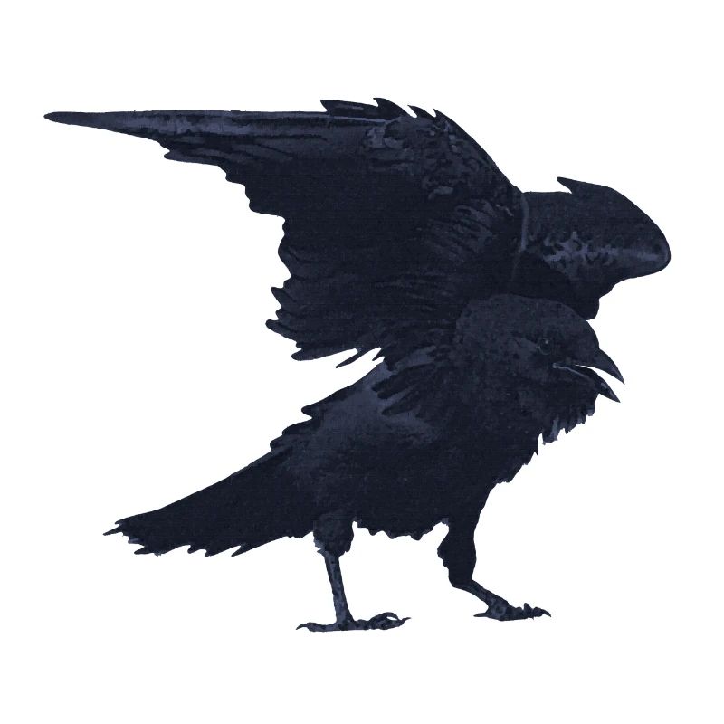 kolkrabe flattern, goth, geburtstagsgeschenk Mann