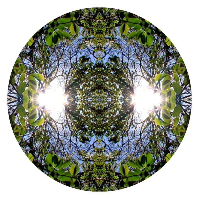 Nature Mandala Source à Nbg Erlenstegen
