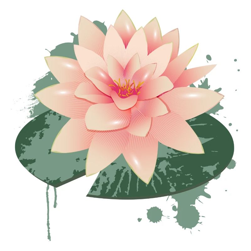 Water lily graffiti with green lily pad