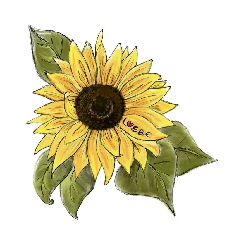 Sunflower 🌻