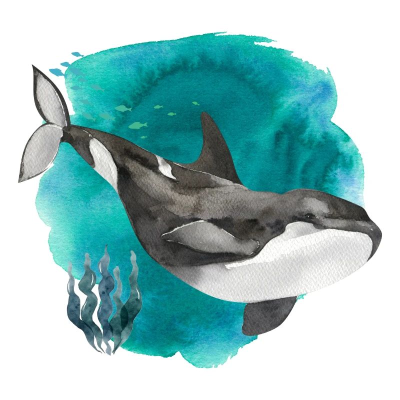 Aquarelle d’orque – Impression d’art Deep Ocean