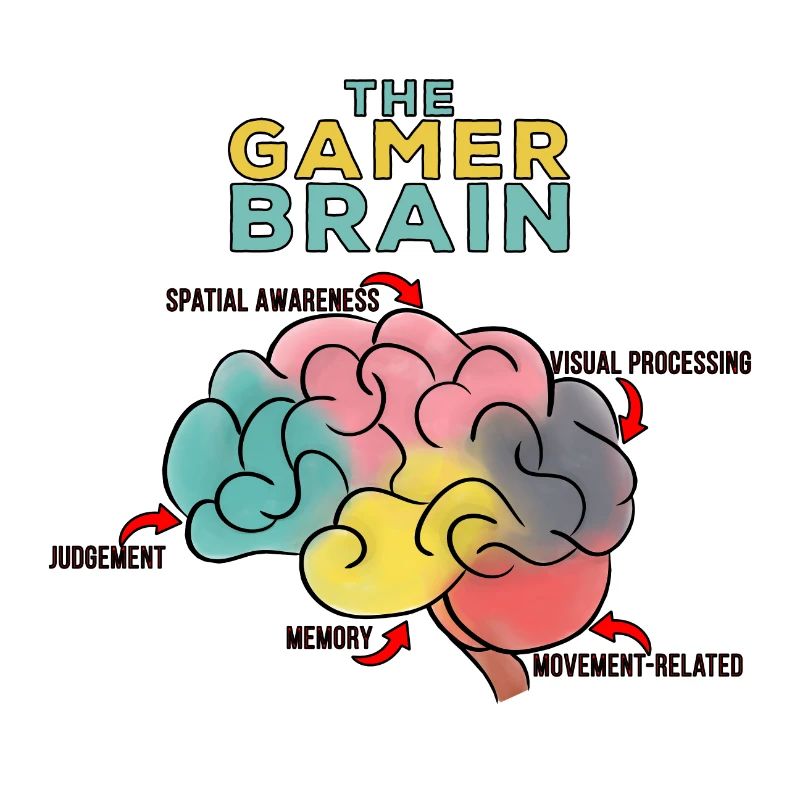 Das Gamer-Gehirn