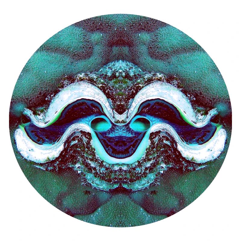 Nature Mandala Smiling Shell