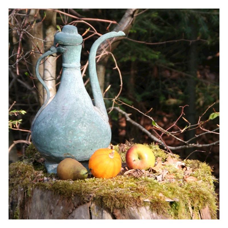 Kupferkännchen im Schwarzwald