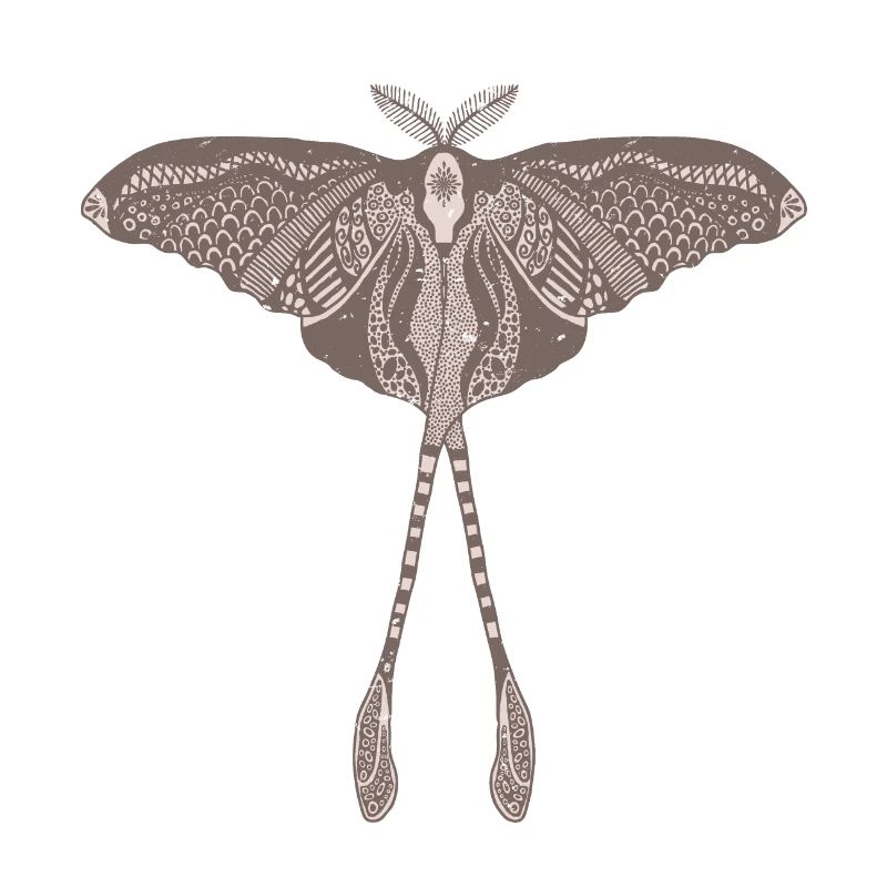 Chinese Moon Moth - Luna Moon Moth