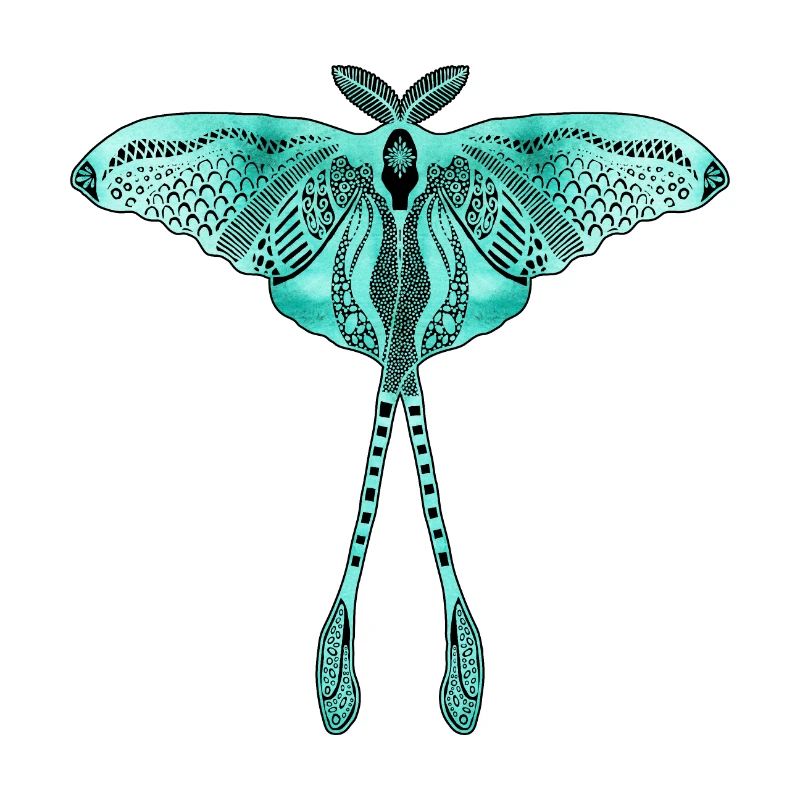 Chinese Moon Moth - Luna Moon Moth