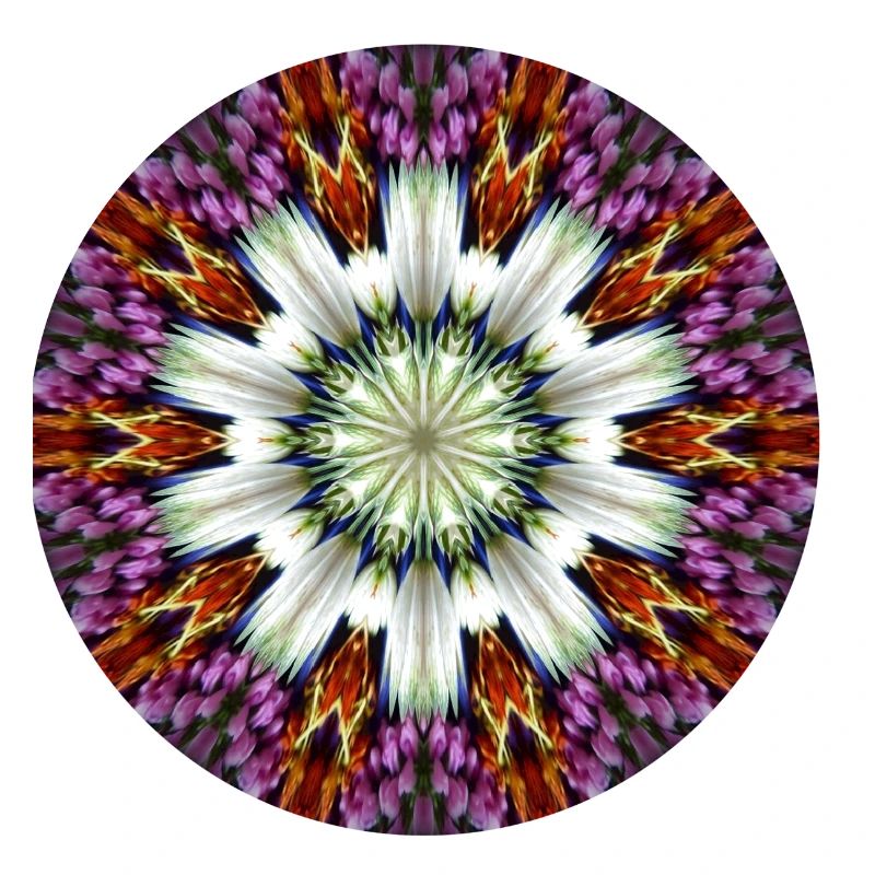 Kaleidoscopic flower star