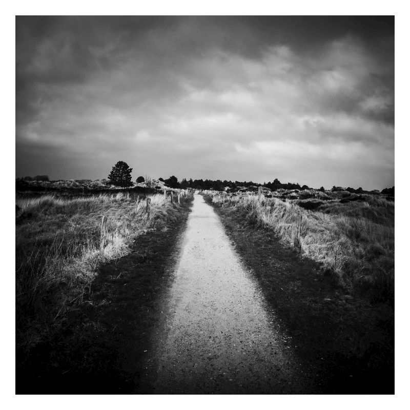 Chemin chemin St. Peter Ording Dunes Mer du Nord affiche