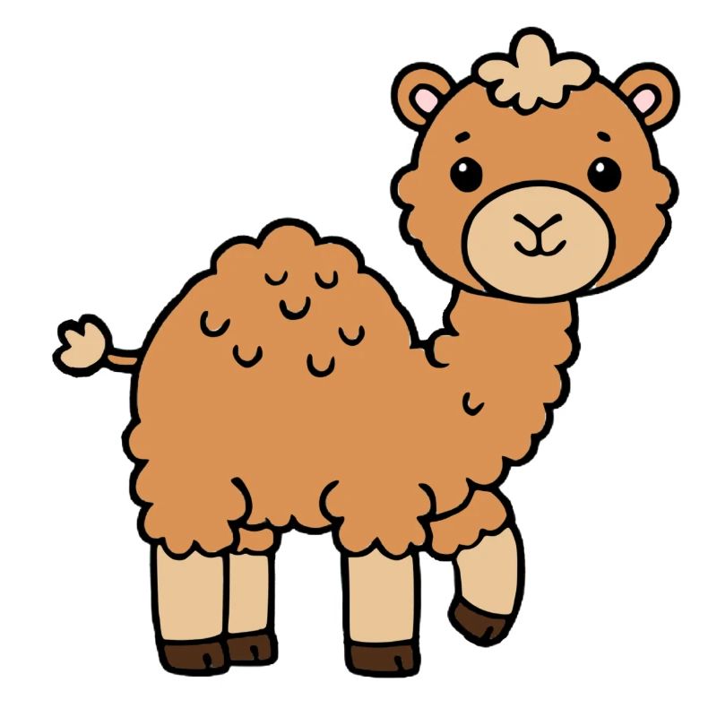 Camel Dromedary