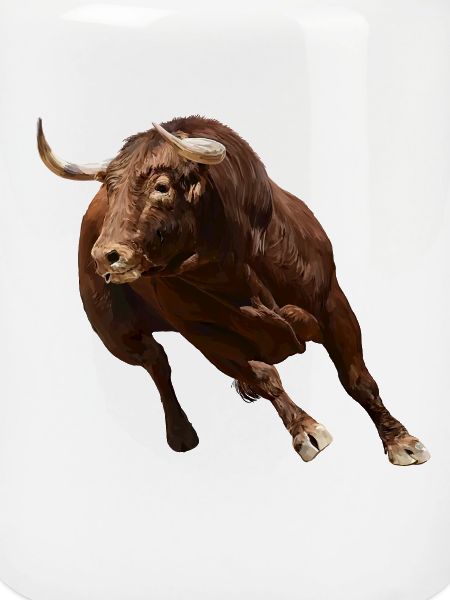 Bull