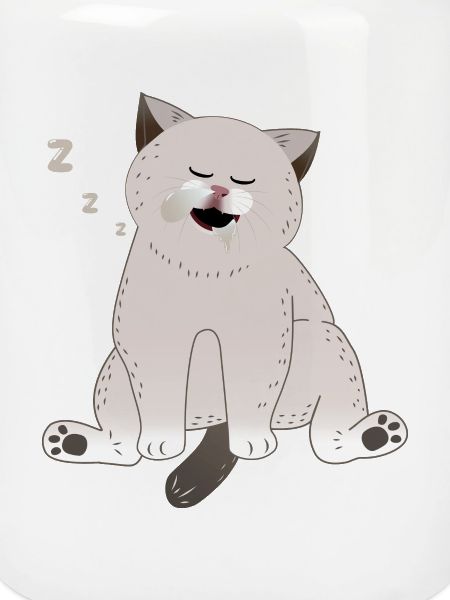 sleeping cat
