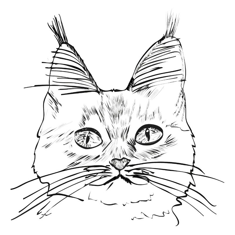 Rassekatze