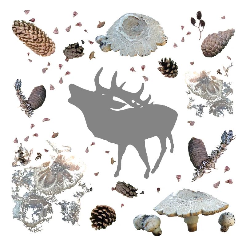 Cerf aux pommes de pin et champignons