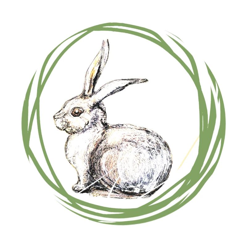 Motif lapin