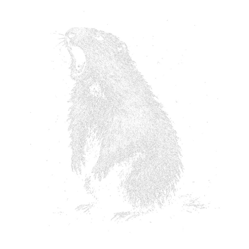 Marmotte