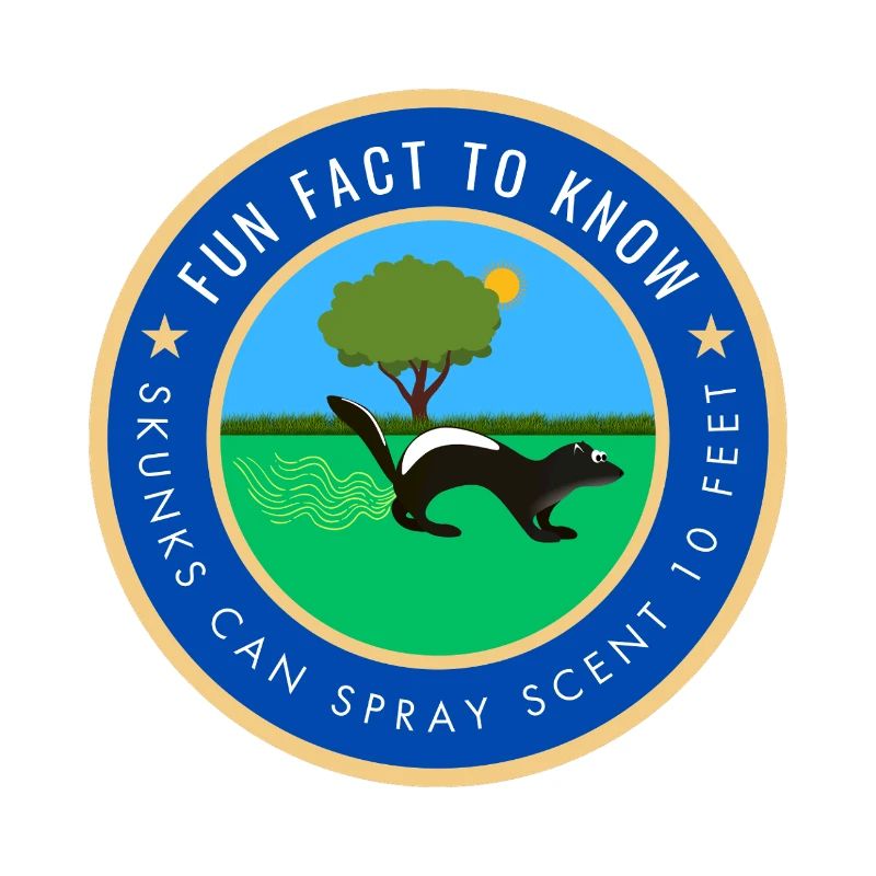 Skunks can spray scent 10 feet