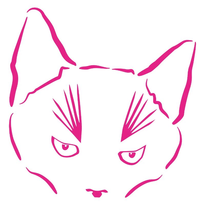 Le chat en point de mire