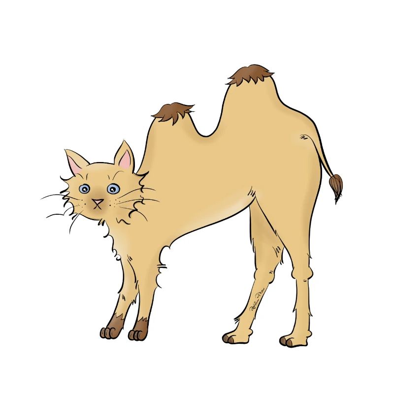 Chat-meau