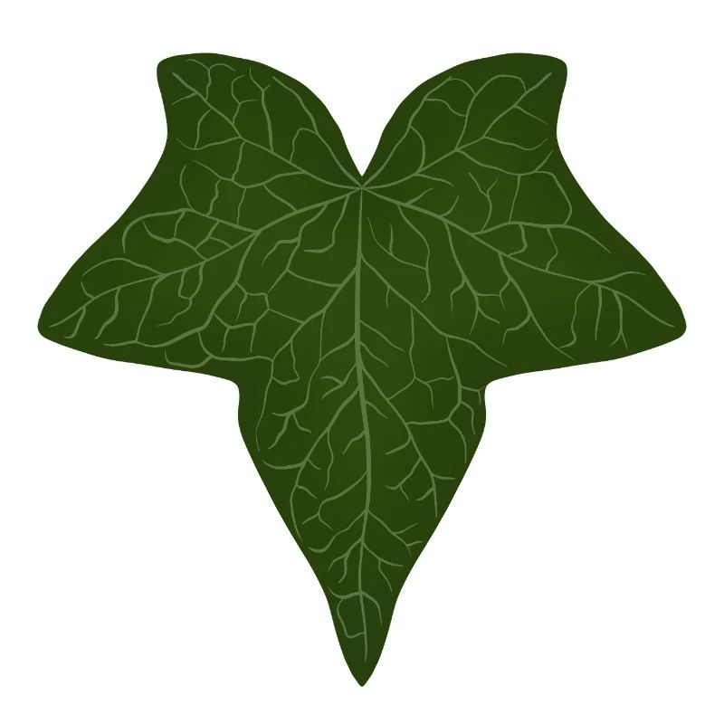 Elegant Green Ivy Leaf Pattern