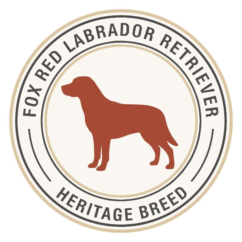 Labrador Retriever Emblem Design