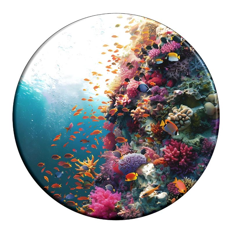Versatile coral reef underwater design
