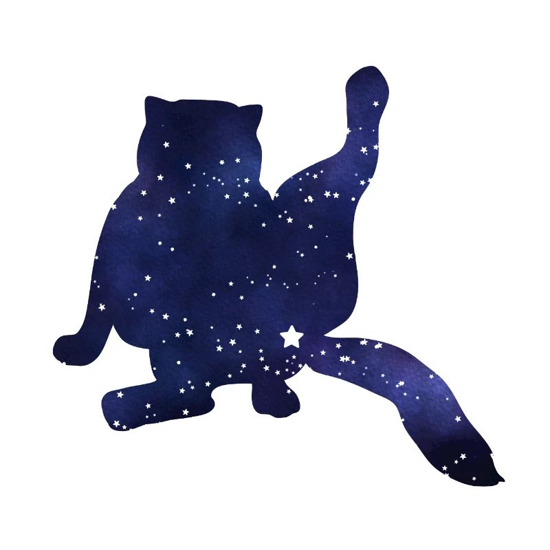 Cat Silhouette Funny Starry Sky