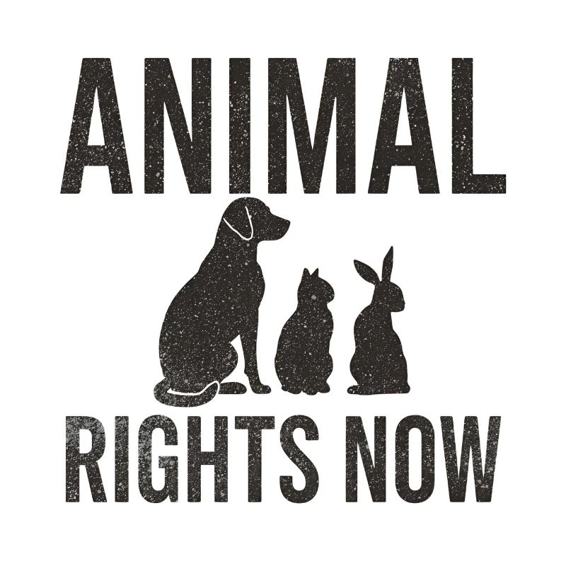 Animal Rights Now Conception typographique