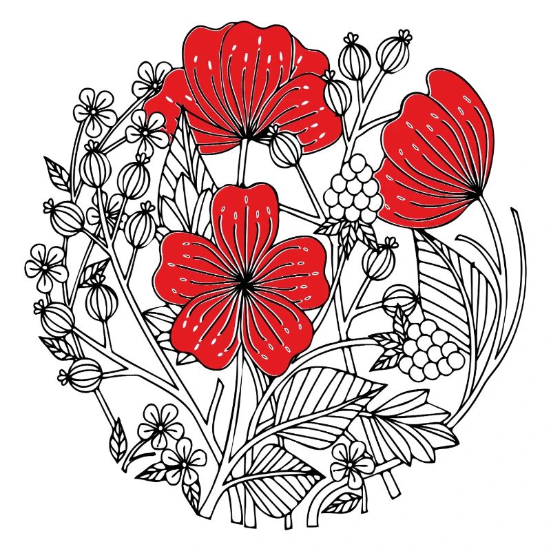 Fleurs d’hibiscus