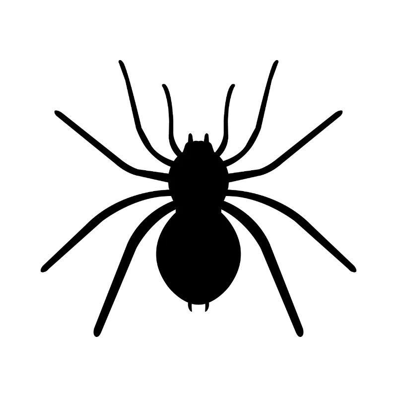 Spinne