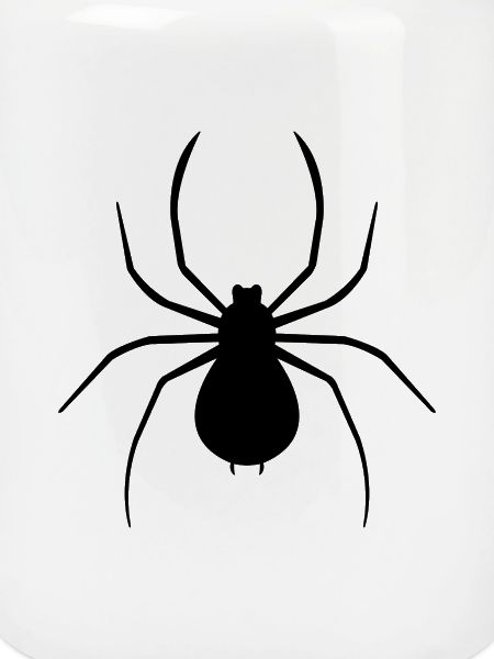 spider