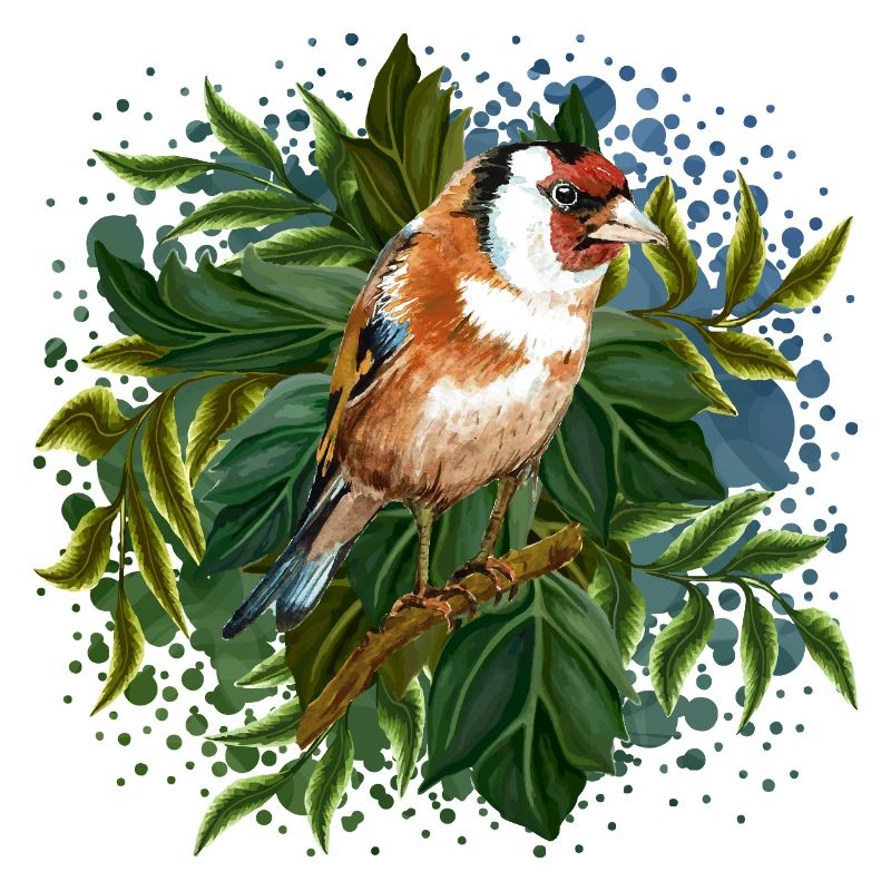 Bunter Vogel