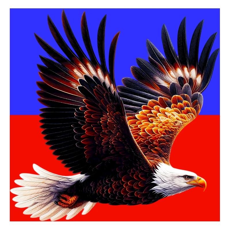 aigle