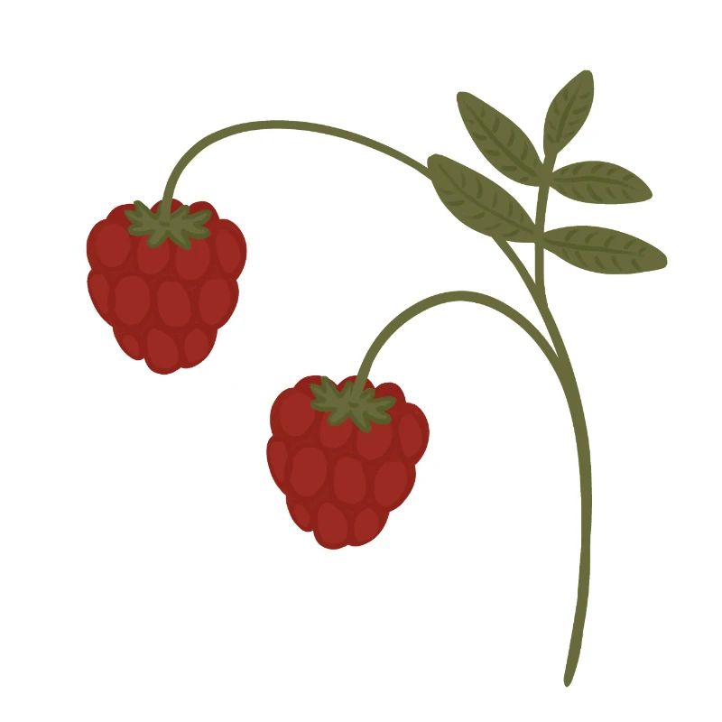Himbeeren