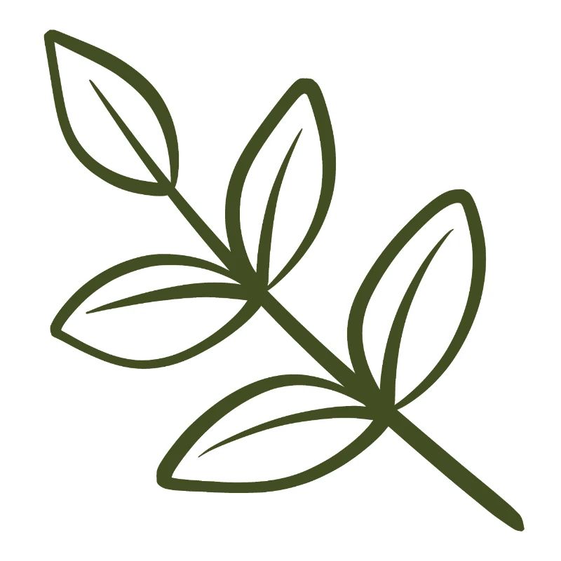 Leaf Line Art