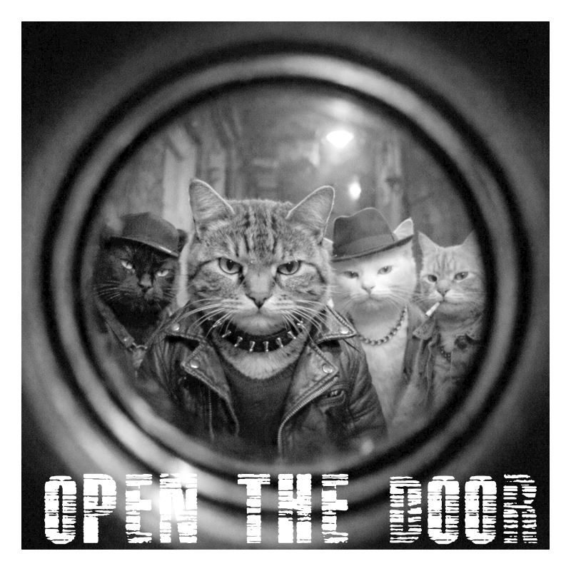 Tür Auf Katzen Noir