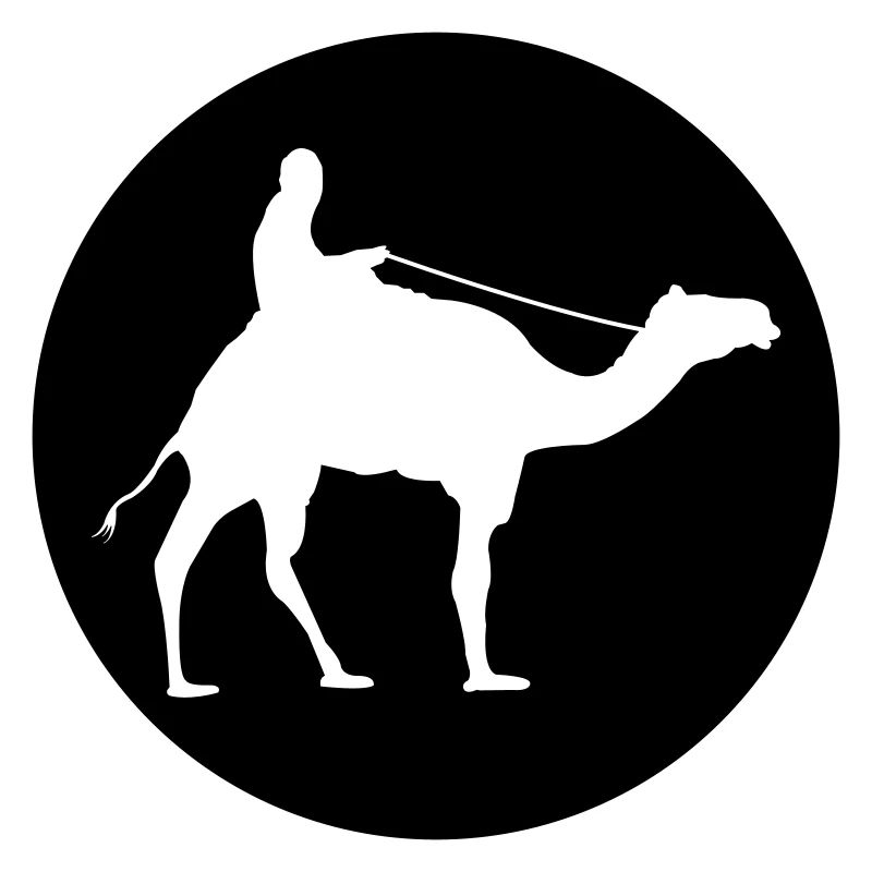 Camel Riding
