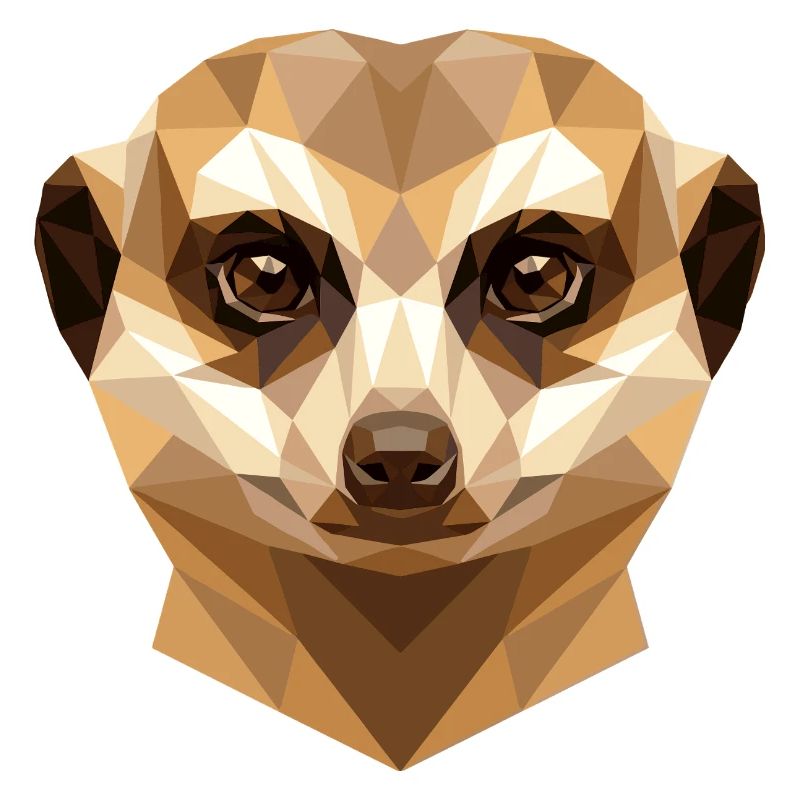 Suricate Suricate Douce Mangouste Suricate